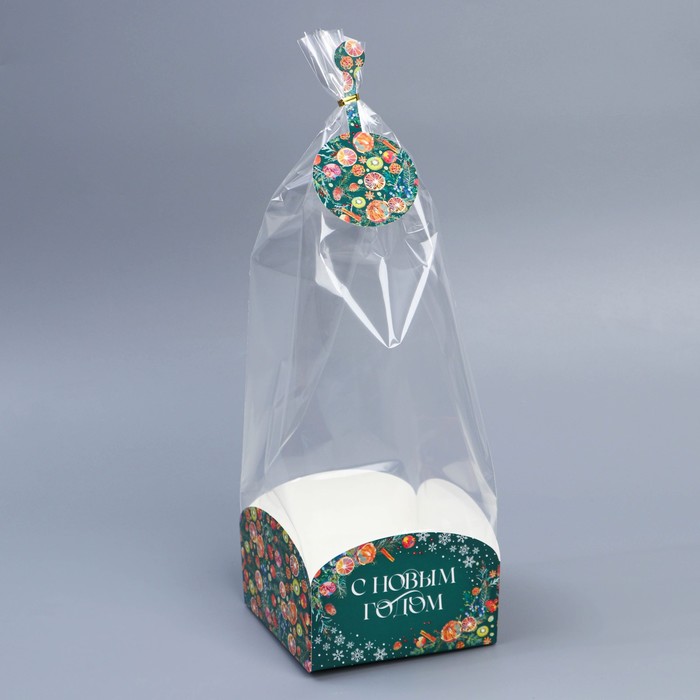 

Пакет с коробкой "Новогодняя ботаника", 12 x 12 x 40 см, Прозрачный