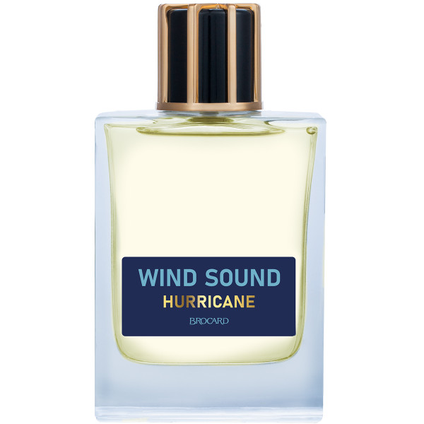 Туалетная вода Brocard Wind Sound. Hurricane 100 мл brocard русская коллекция василиса прекрасная 50