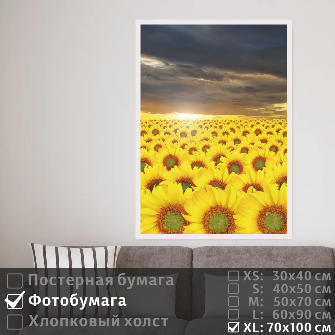 

Постер на фотобумаге ПолиЦентр Подсолнухи в сумерках под облаками 70х100 см, ПодсолнухиВСумеркахПодОблаками7