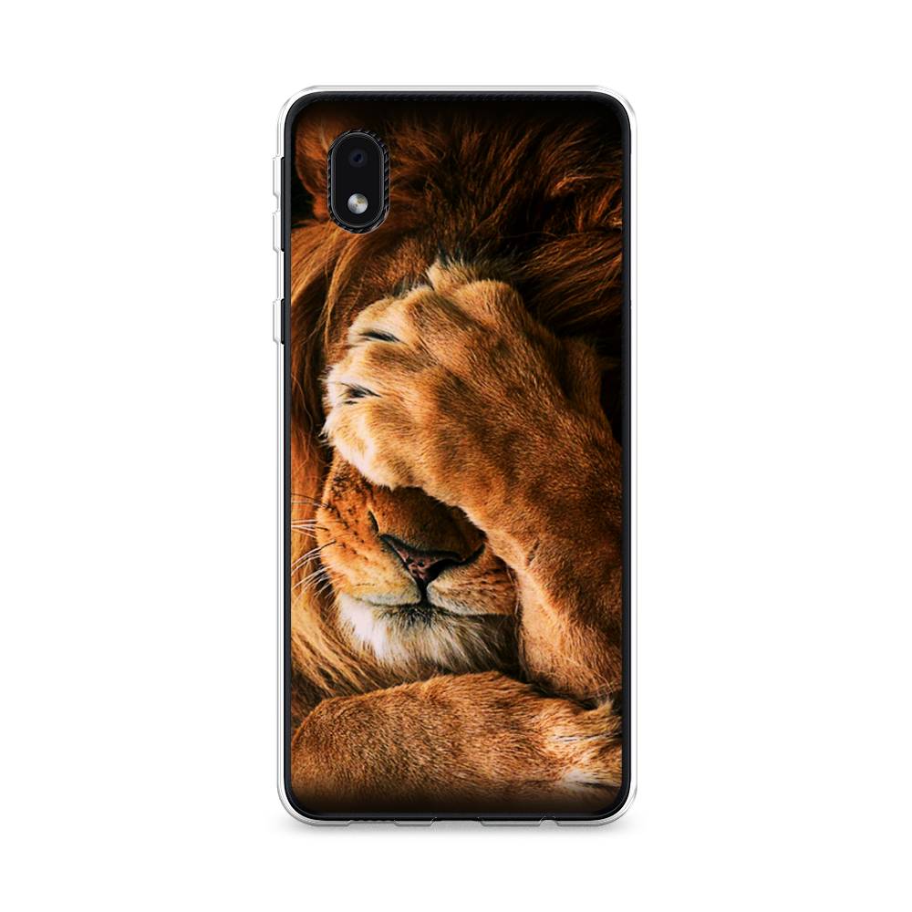 

Чехол Awog на Samsung Galaxy A01 Core / Самсунг A01 Core "Львиный стыд", Коричневый;черный, 2101250-1