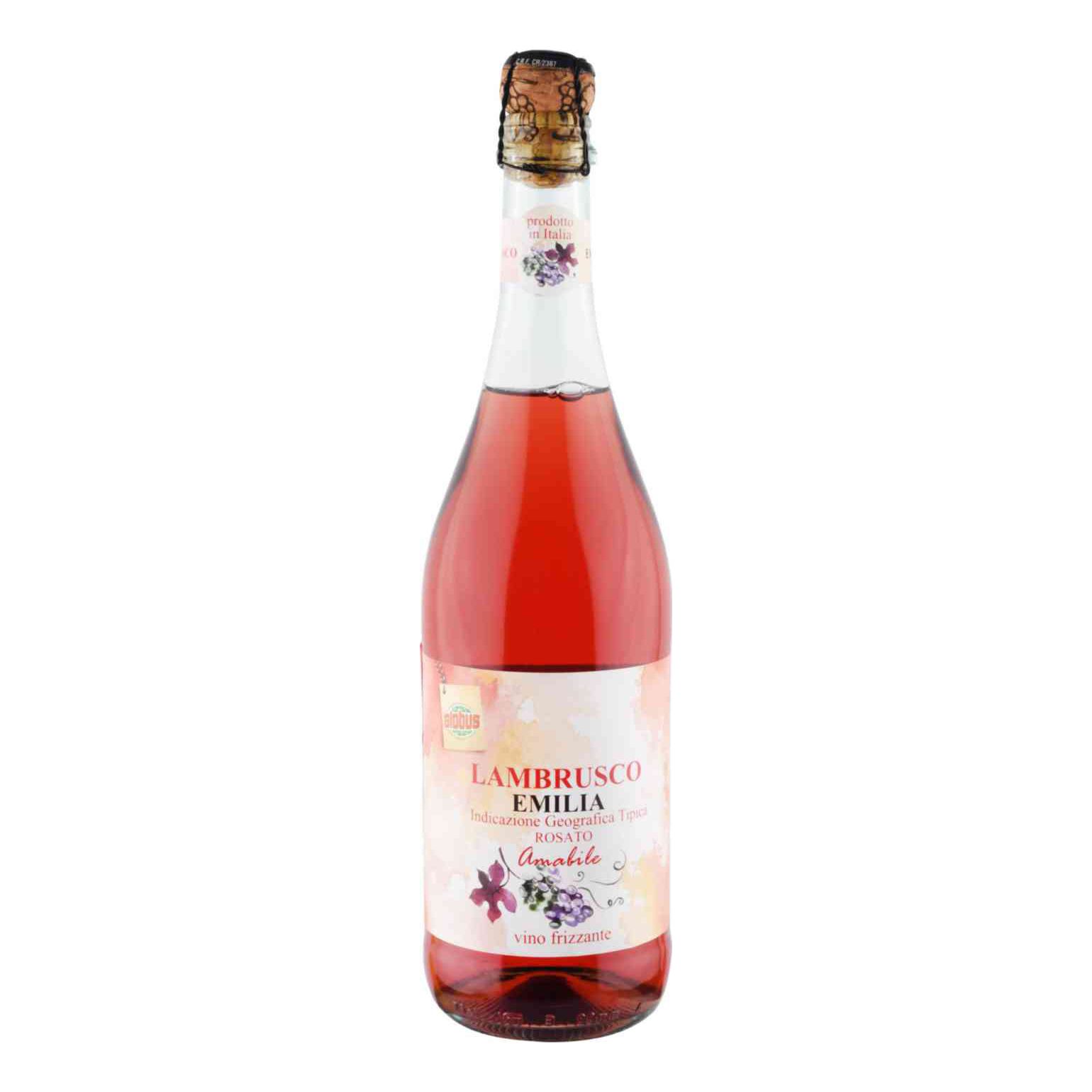 

Вино игристое Глобус Lambrusco Emilia Rosato розовое полусладкое 750 мл Италия