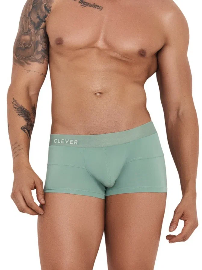 

Трусы мужские Clever Masculine Underwear 1261 зеленые L, Зеленый, 1261