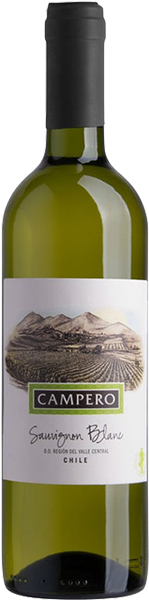 

Вино Campero Sauvignon Blanc, 750 мл