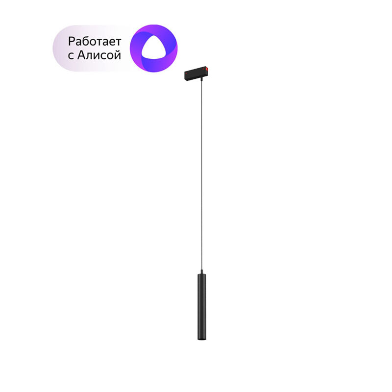 

Светильник трековый спот Denkirs Smart DK8008-BK 9W LED
