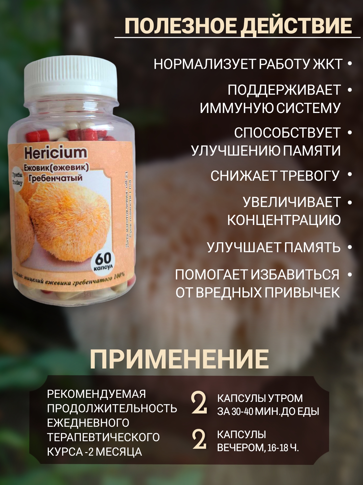 

Ежовик Гребенчатый ГрибыToday капсулы, 60 шт