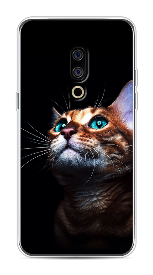 

Чехол Awog на Meizu 15 "Мечтательный кот", Коричневый, 72650-1