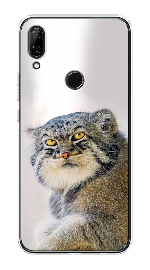 

Чехол на Honor 9X/Huawei P Smart Z "Кот манул 1", Серый;белый;желтый, 69450-1