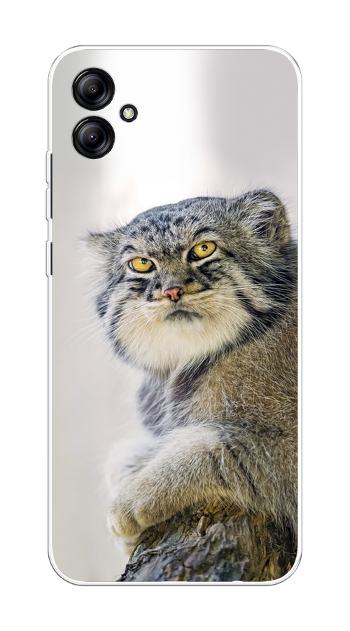 

Чехол на Samsung Galaxy A04e/A042 "Кот манул 1", Серый;белый;желтый, 2107650-1