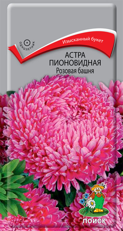 

Семена астра Поиск Бенгал 140853 1 уп.