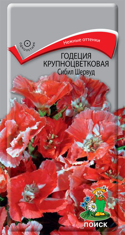 

Семена цветов Поиск 220783 Семена Годеция крупноцветковая Сибил Шервуд 0,2 г
