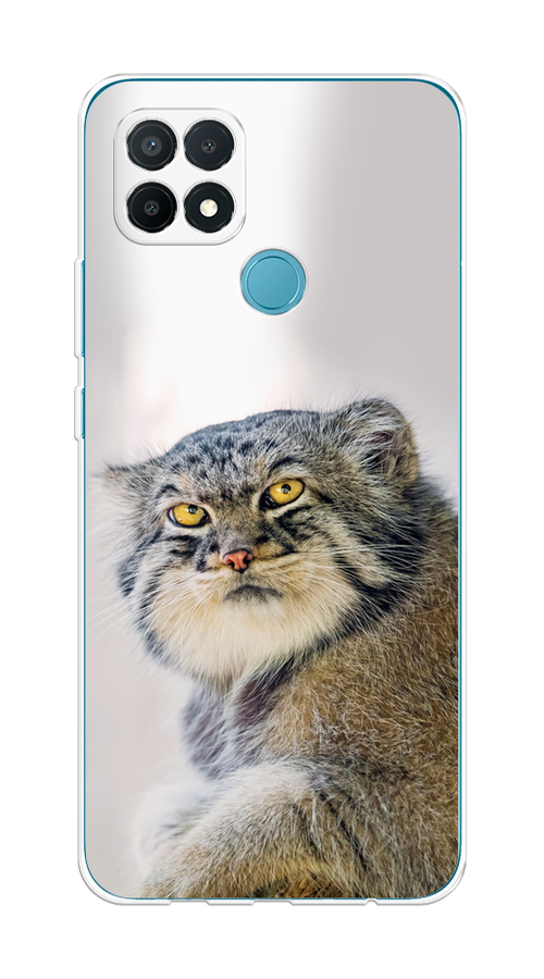 

Чехол на Oppo A15/A15s "Кот манул 1", Серый;белый;желтый, 254750-1
