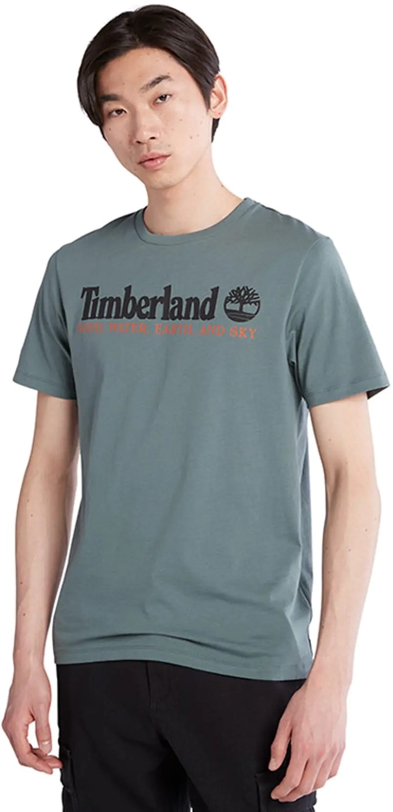 

Футболка мужская Timberland TB0A27J8 зеленая 2XL, TB0A27J8