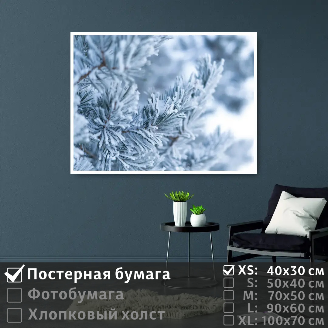 

Постер на стену ПолиЦентр Ветка сосны в зимнем лесу 40х30 см, ВеткаСосныВЗимнемЛесу