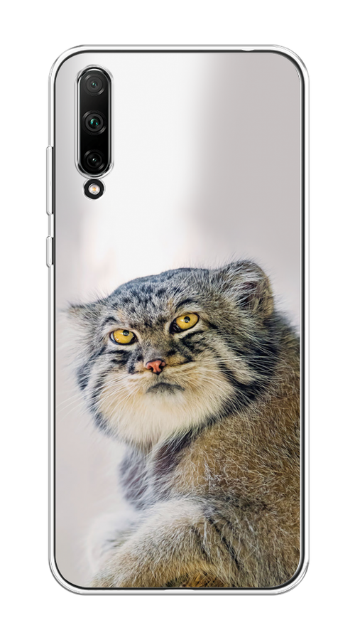 

Чехол на Honor 30i "Кот манул 1", Серый;белый;желтый, 6104050-1