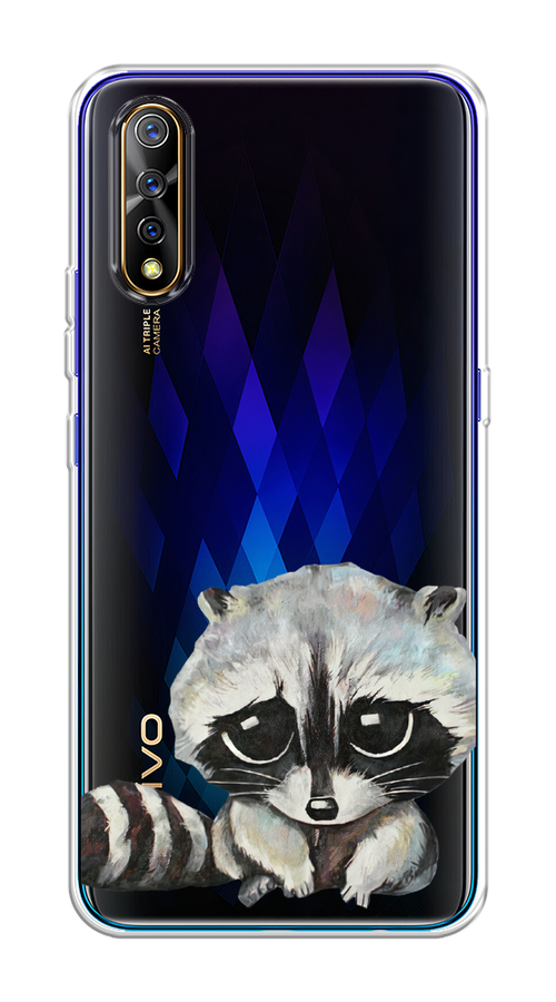 

Чехол на Vivo iQOO Neo/V17 Neo "Большеглазый енот", Серый;черный;прозрачный, 261250-1
