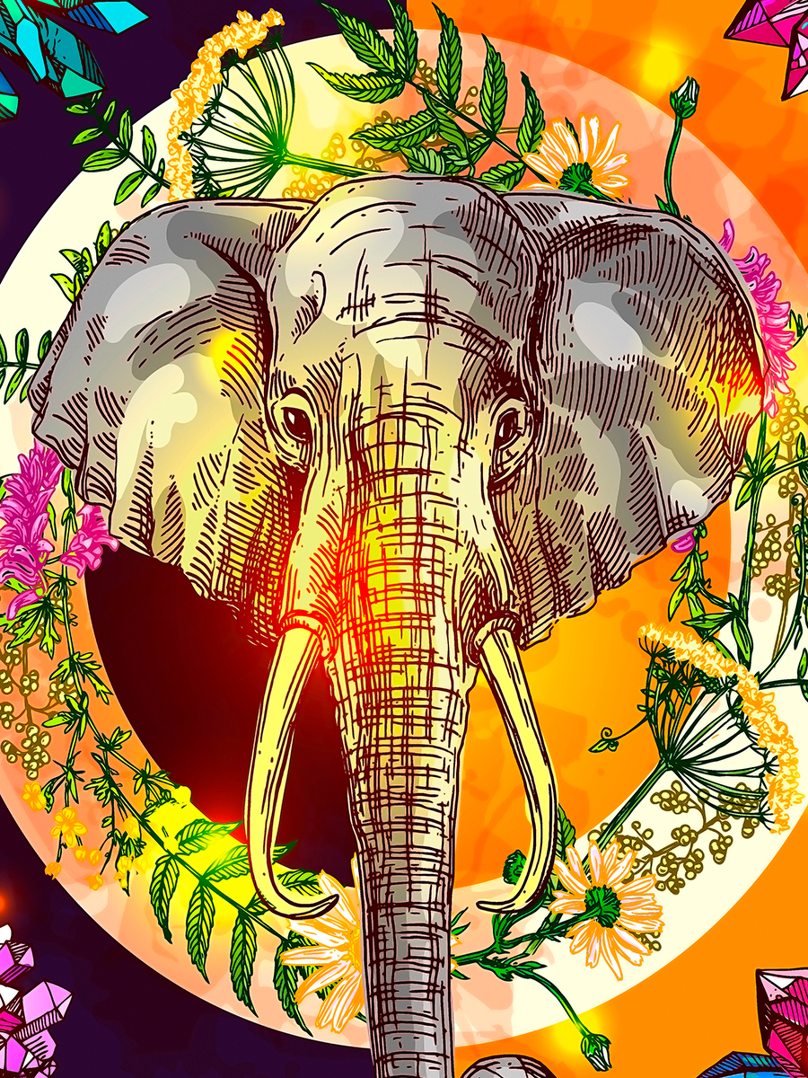 

Постер DRABS А2 рисованый слон портет бохо