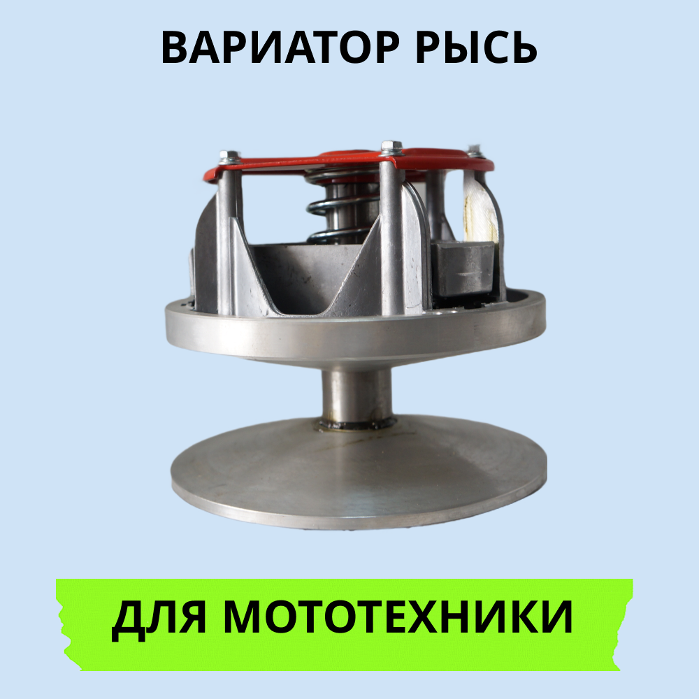 

Вариатор Рысь артикул 2008