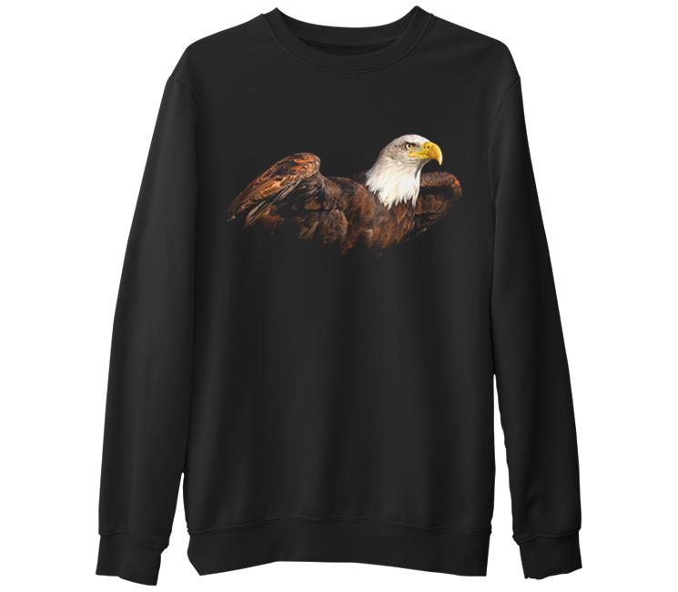

Свитшот мужской Lord Tshirt SK-531 черный S (доставка из-за рубежа), SK-531