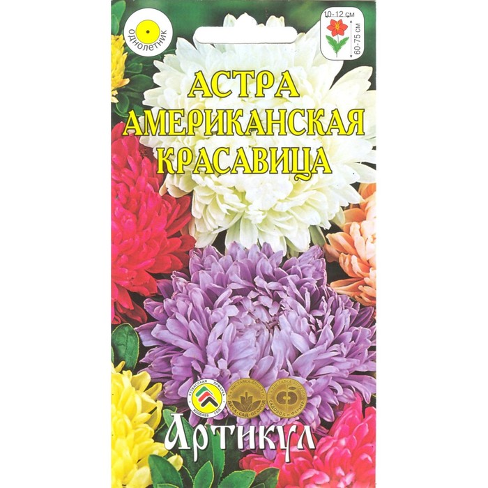

Семена астра Артикул Американская Красавица 1 уп.