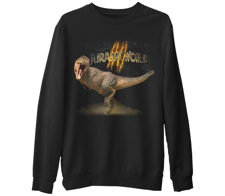 

Свитшот мужской Lord Tshirt SK-619 черный S (доставка из-за рубежа), SK-619
