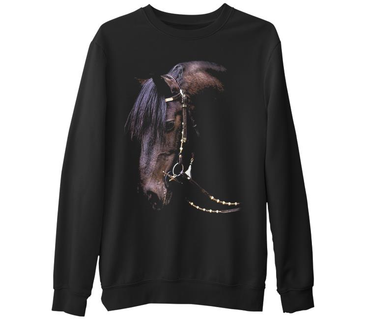 

Свитшот мужской Lord Tshirt SK-881 черный S (доставка из-за рубежа), SK-881