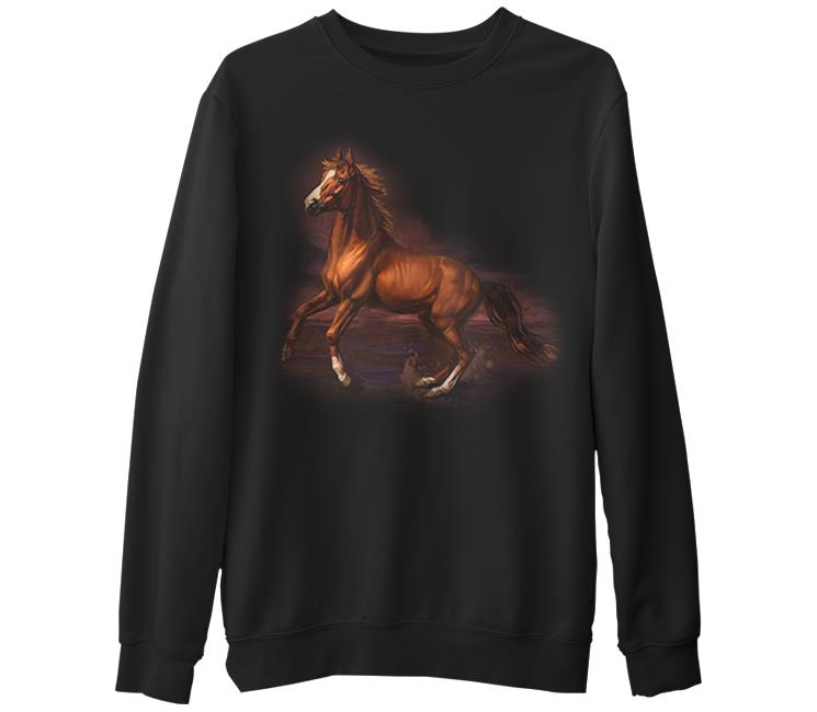 

Свитшот мужской Lord Tshirt SK-882 черный S (доставка из-за рубежа), SK-882