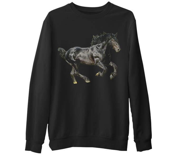 

Свитшот мужской Lord Tshirt SK-883 черный S (доставка из-за рубежа), SK-883
