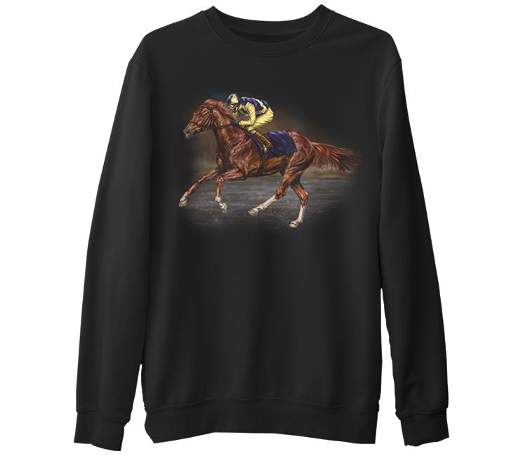 

Свитшот мужской Lord Tshirt SK-886 черный S (доставка из-за рубежа), SK-886