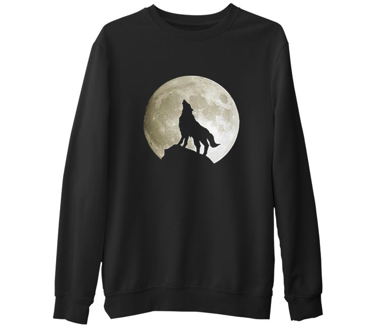 

Свитшот мужской Lord Tshirt SK-1329 черный S (доставка из-за рубежа), SK-1329