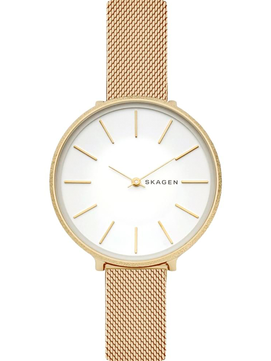 

Наручные часы Skagen LADIES SKW2722, SKW2722