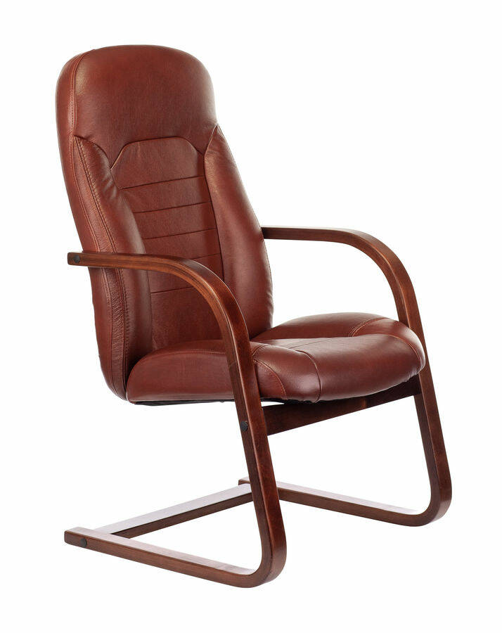 

Кресло Бюрократ T-9923WALNUT-AV, на полозьях, кожа, темно-коричневый [t-9923walnut-av/ch]