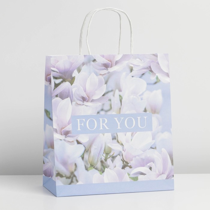 

Пакет крафтовый For you, 22 х 25 х 12 см, Разноцветный