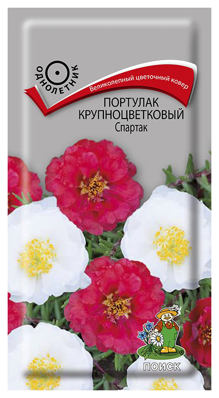 

Семена портулак Поиск Спартак 722531 1 уп.