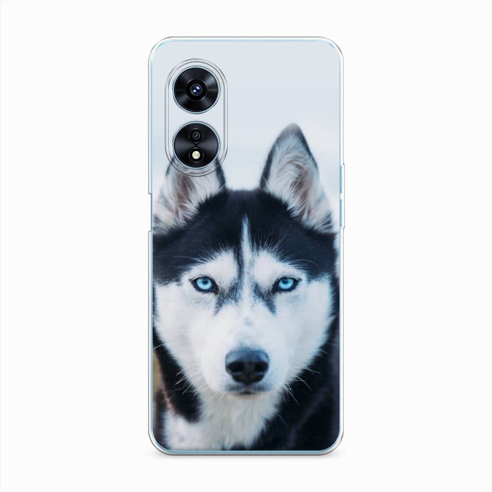 

Чехол на Oppo A97 "Хаски 2", Синий;белый, 2511050-1