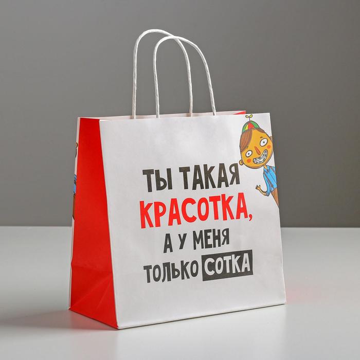 

Пакет подарочный «Красотка», 22 х 22 х 11 см, Разноцветный