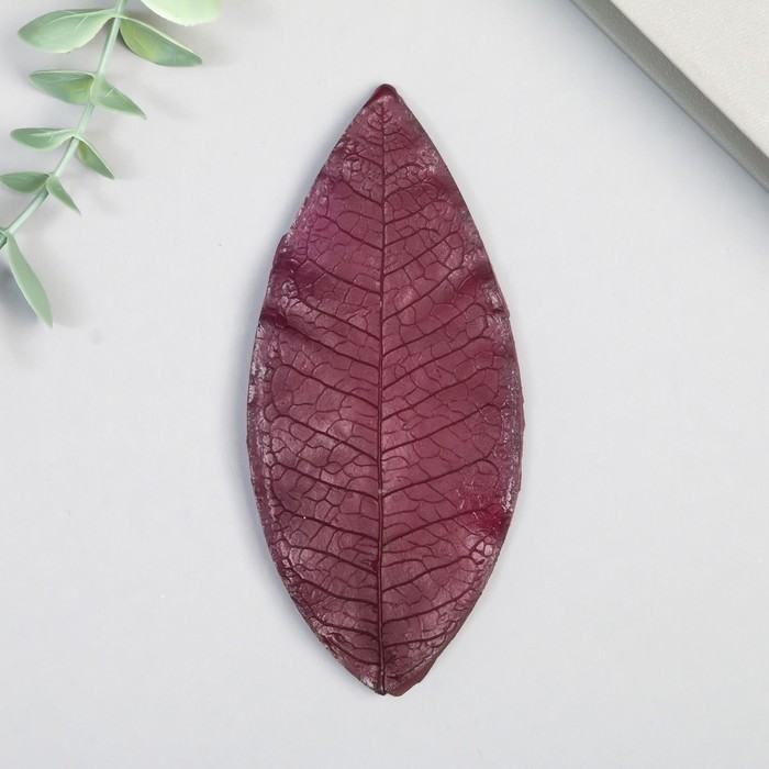 

Молд "Лист магнолии" 12,5х5,5 см МИКС