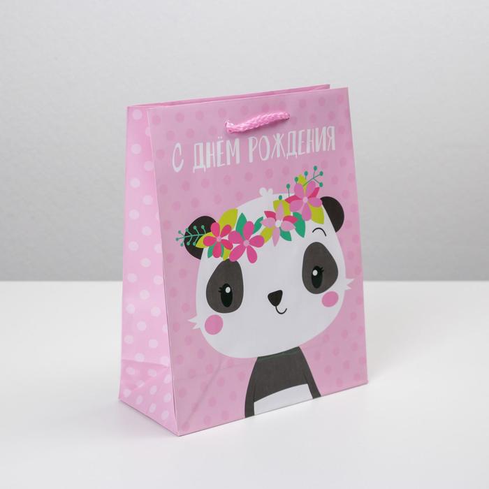 

Пакет ламинированный «С Днём Рождения», MS 18 х 23 х 8 см, Разноцветный