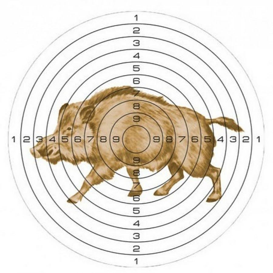 Мишень для пневматики 25 м цветная, рисунок КАБАН, 140х140 мм, картон 280 г/м