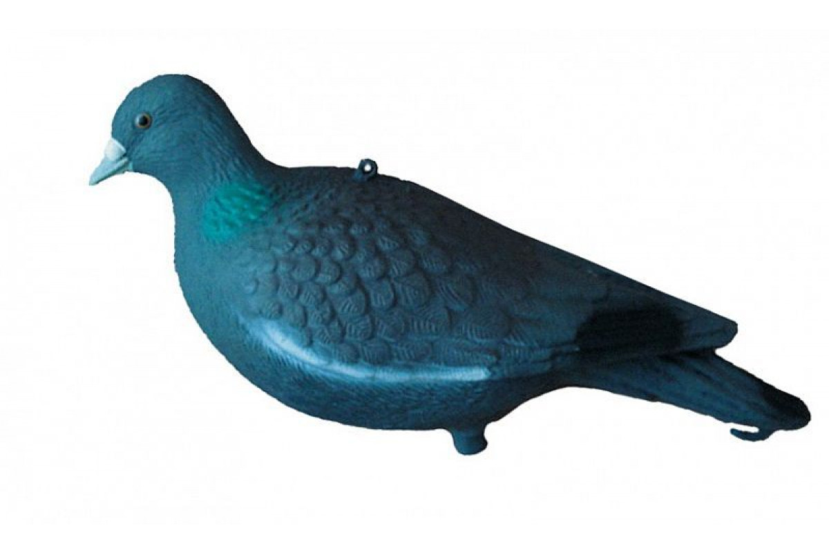 Birdland голубь 7330