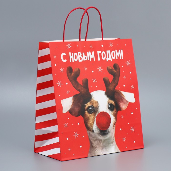 

Пакет подарочный Дарите Счастье Олень ты крафтовый 28х32х15см, Красный
