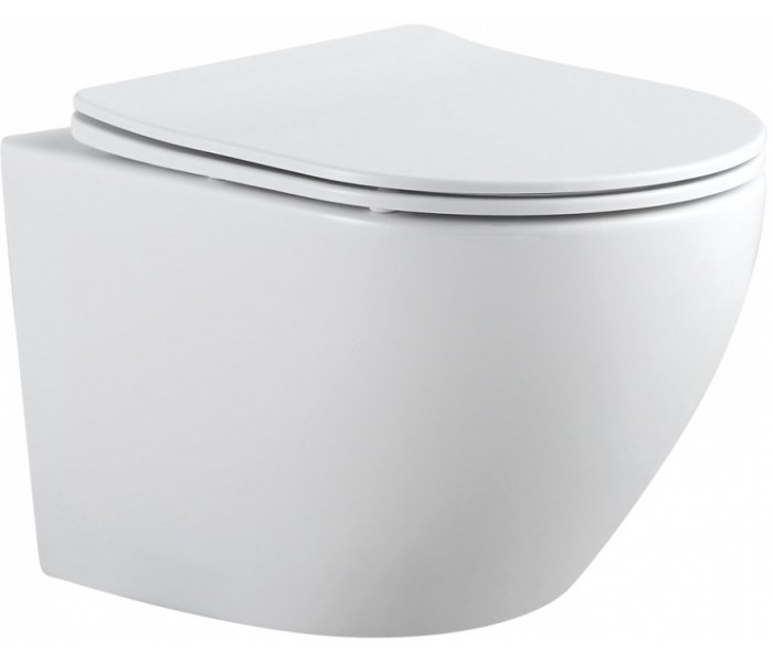 

Унитаз Aquanet Cetus 2.0 LX-1901 243541, Белый, Cetus