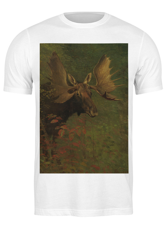 

Футболка унисекс Printio Лось (study of a moose) (альберт бирштадт) белая 3XL, Белый, Лось (study of a moose) (альберт бирштадт)