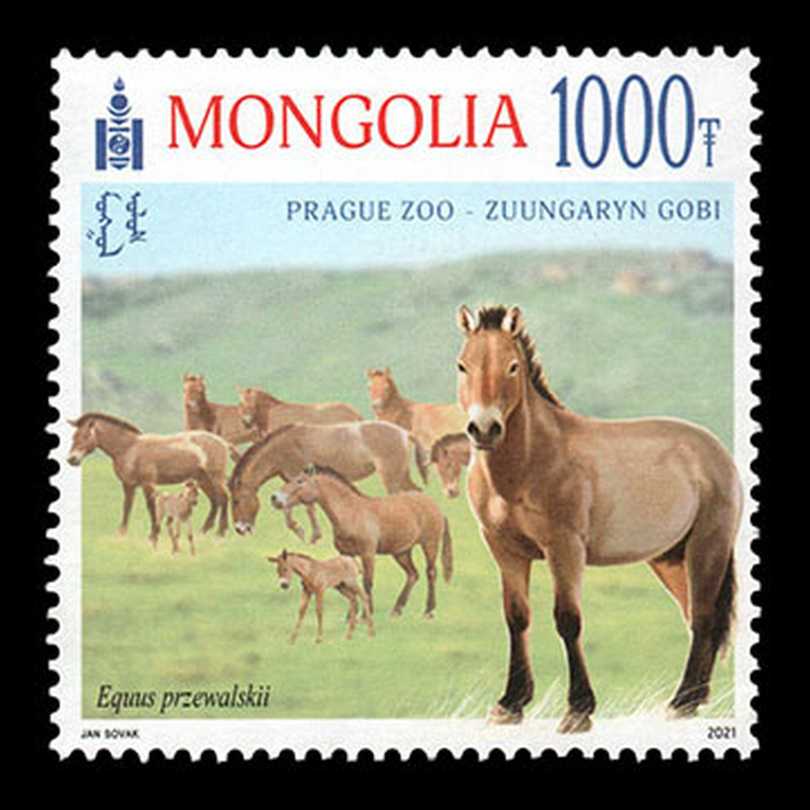 

Почтовые марки Монголия Зоопарк Джунгарская Гоби Лошади, mn1080