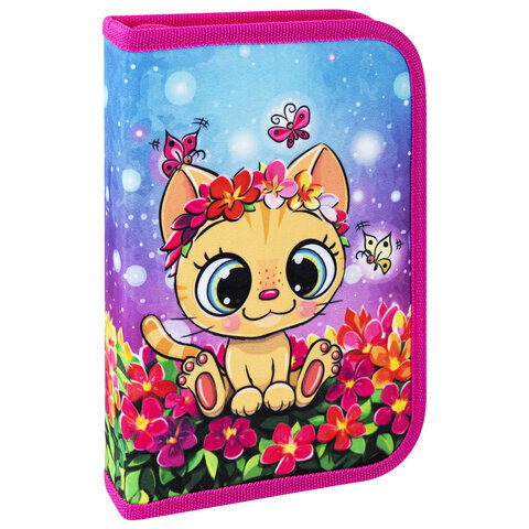 

Пенал с наполнением Brauberg Charming kitten 270722 1 отд. 24 предм. полиэстер 21х14 см