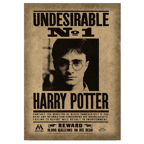 

Постер без рамы Magical Key Гарри Поттер - нежелательное лицо №1 50х36 см, Постеры Гарри Поттер