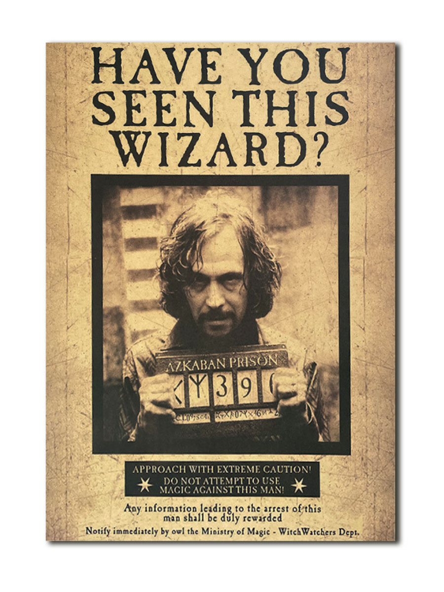 

Постер без рамы Magical Key Видели ли Вы этого волшебника Гарри Поттер 42х30 см, Постеры Гарри Поттер