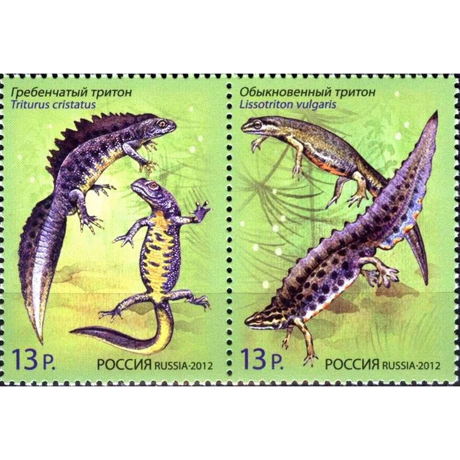 

Почтовые марки Россия Фауна. Тритоны Фауна, ru1599