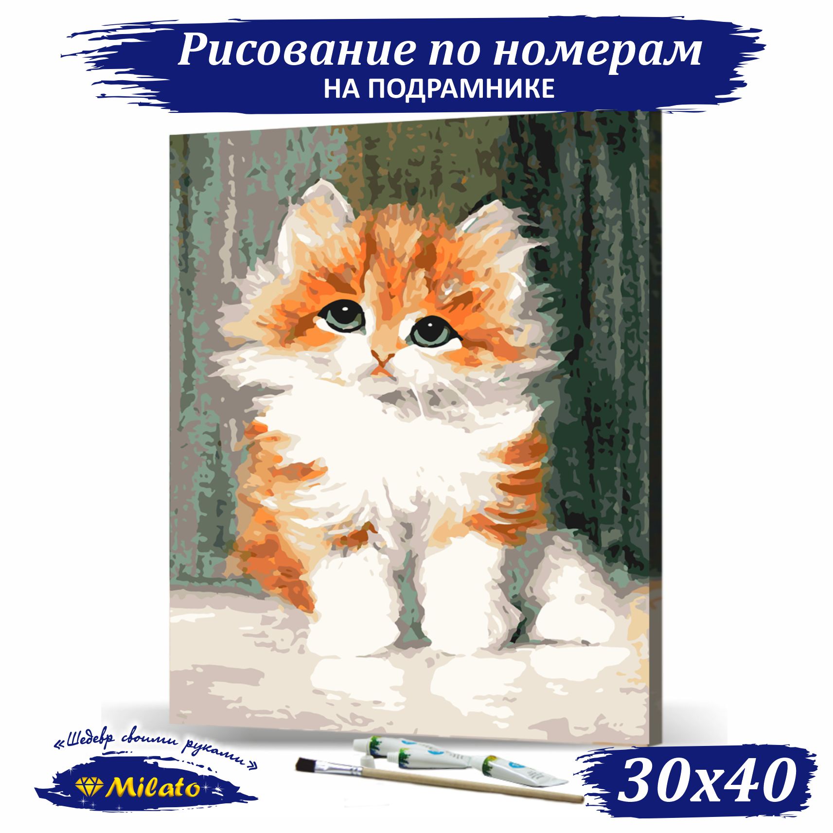 Картина по номерам Milato Рыжий котенок RP3-031 30х40см