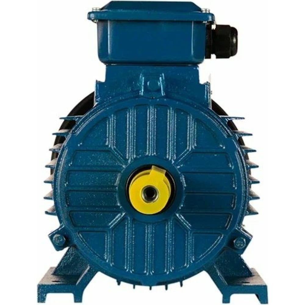 

5АИ Электродвигатель 100 L2 5.5/3000 IM 1081 01.01.213567