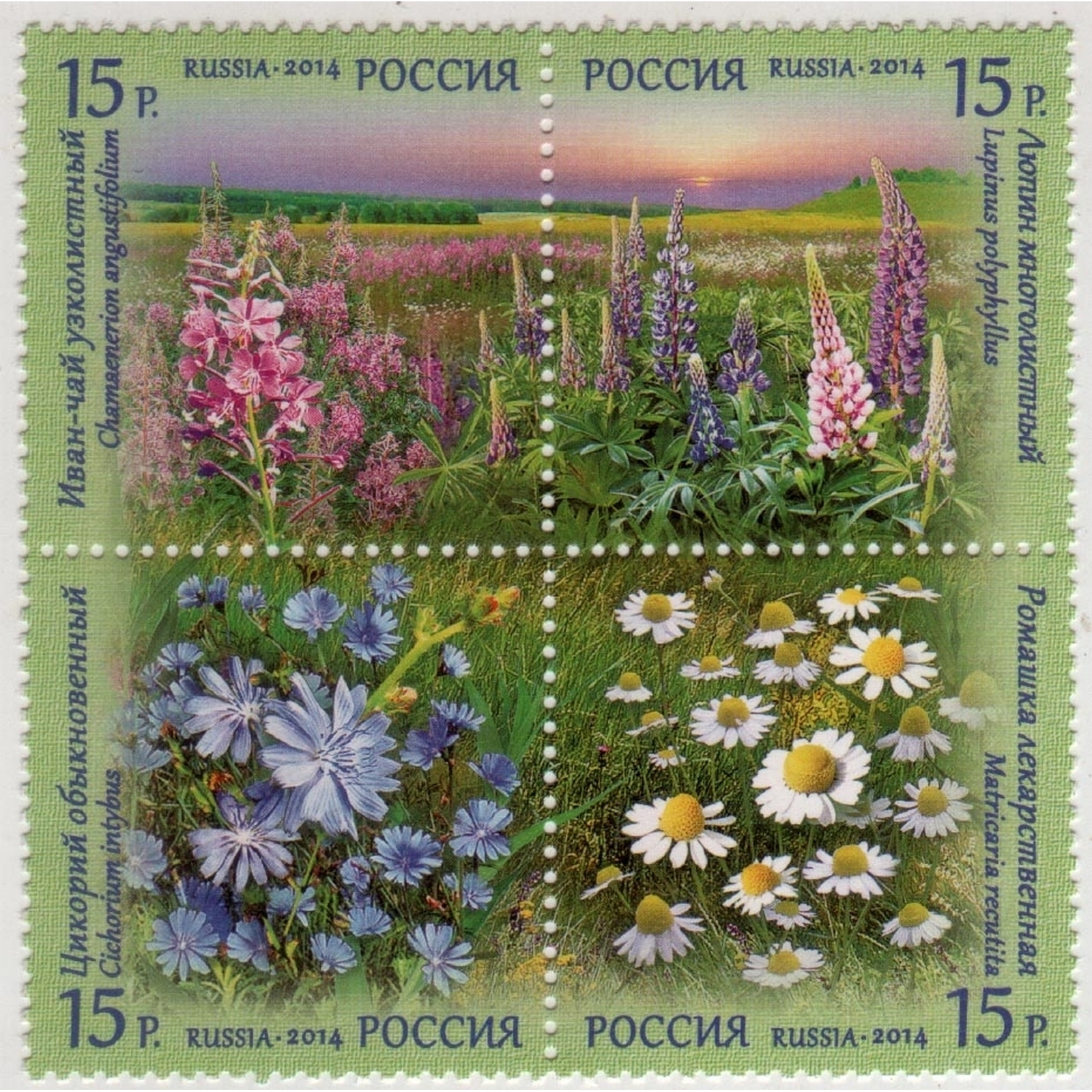 

Почтовые марки Россия Флора России. Полевые цветы Цветы, ru1810